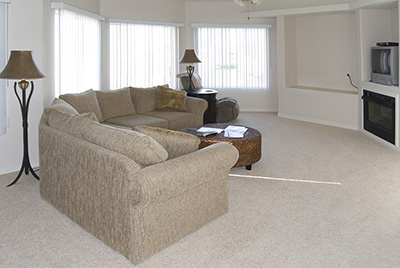 Carpet Cleaning Company